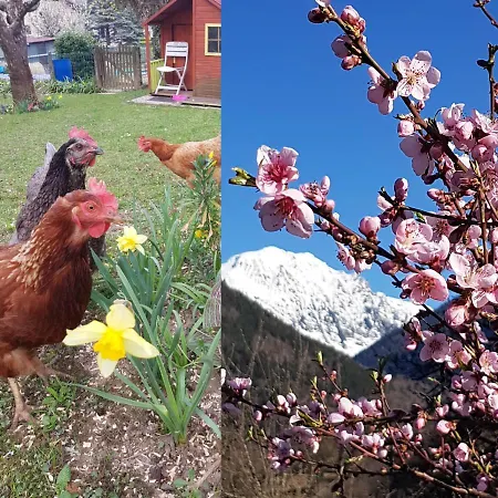 Detente Nature Rando, , Thermes * アルバール